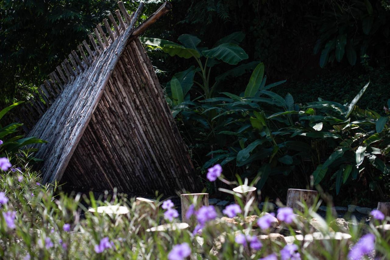 Roost Glamping - Sha Certified Hotel Rawai Buitenkant foto